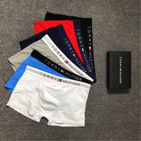 Tommy Hilfiger Men's Flag Logo Waistband Boxer Briefs-6670  